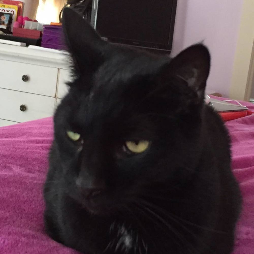 Meet your Posher, Christine